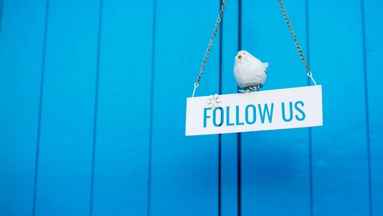 Growing Organically On Twitter: The Importance & Impact Of Followers