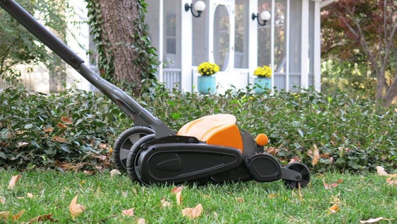Lawn Care in Winter: Maintaining and Protecting Your Turf