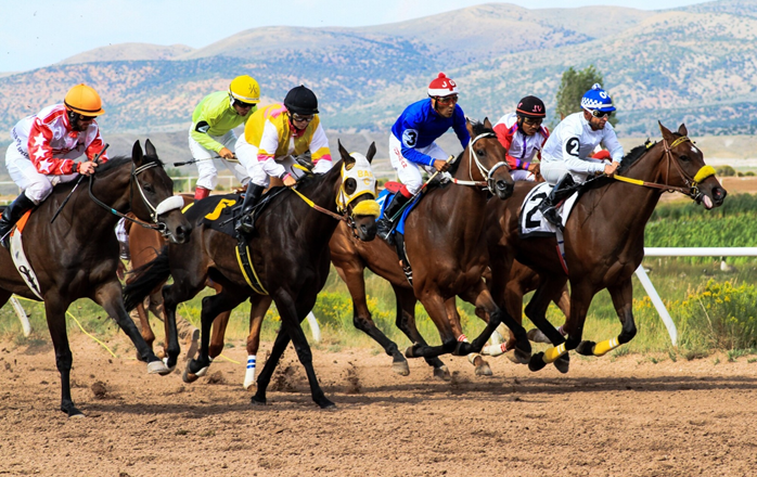 Betting On Horse Races? Top Tips To Avoid Scammers