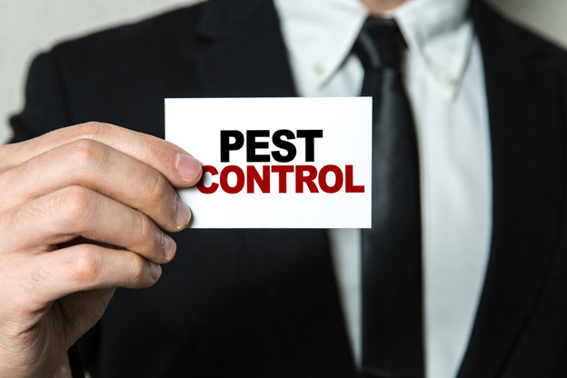 7 Questions to Ask When Hiring Pest Control Services