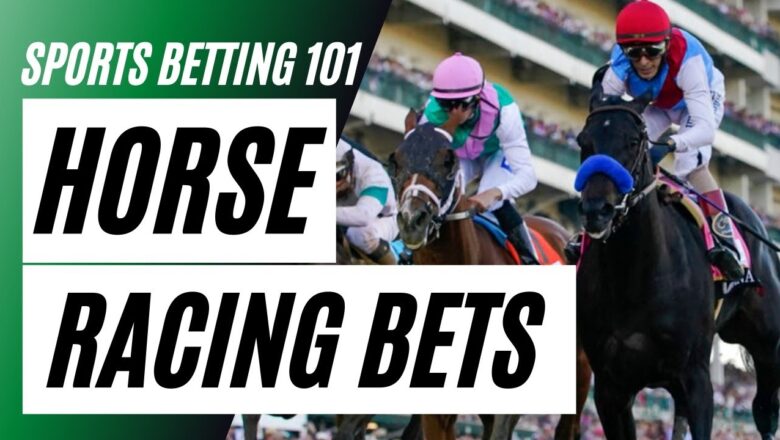 Top Things To Consider Before Placing Bet In Online Horse Racing
