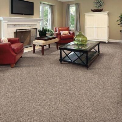 Advantages of Choosing an Outdoor Carpet