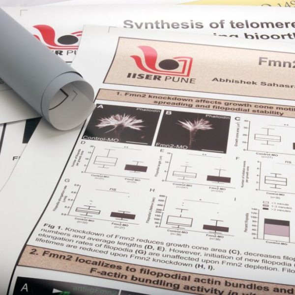 Beyond the Booth: Creative Uses for Scientific Posters and Fabric Prints