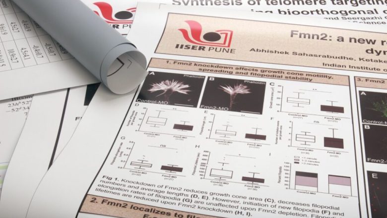 Beyond the Booth: Creative Uses for Scientific Posters and Fabric Prints