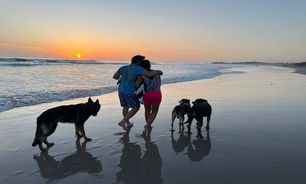 Will You Have to Make Sacrifices?: How a Personal Protection Dog Fits into Your Everyday Lifestyle