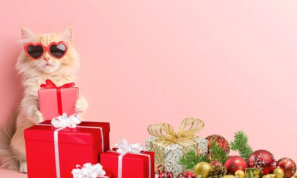 Curating Gifts for Christmas for Refined Tastes, Special Moments, and Thoughtful Giving